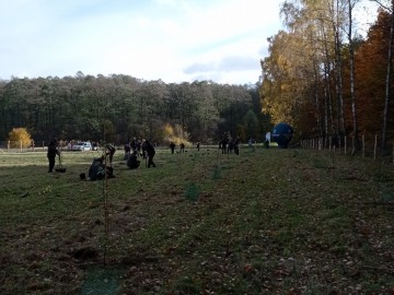 Nowy sad w Tadzinie założony 22.10.2021r. w ramach projektu Owoce pamięci, 